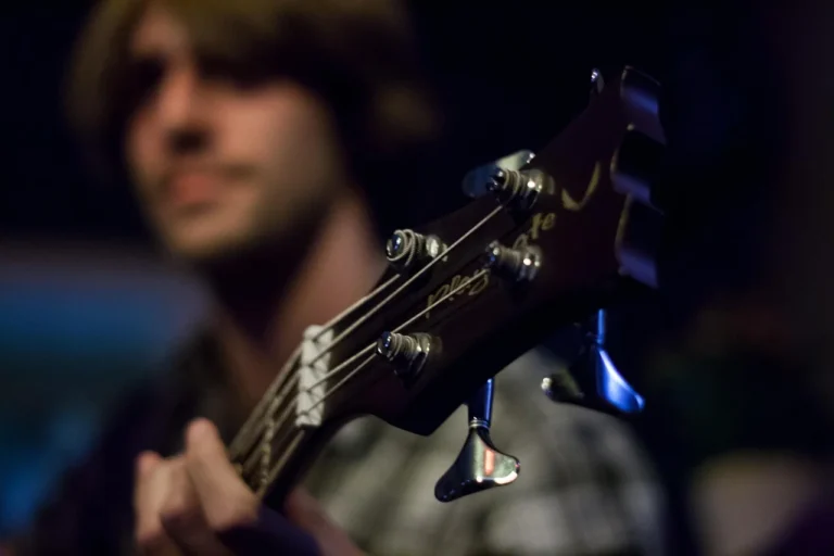 Bass Diffusion Model, Frank Bass