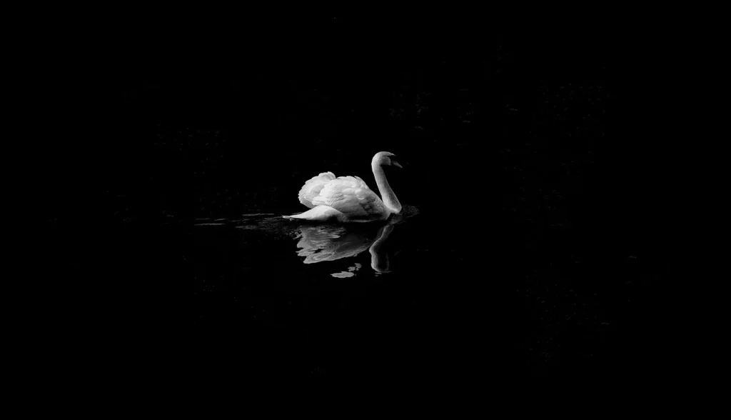 Black Swan Theory, Nassim Nicholas Taleb