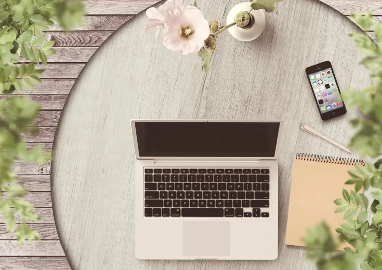 Jasa SEO WordPress Khusus Blog Pribadi | Optimasi Otoritas 1 Blogger Laptop Writing