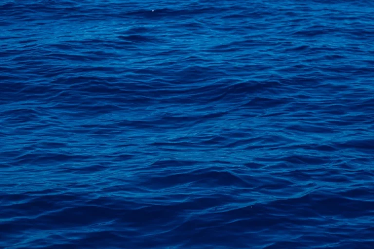 Panduan Blue Ocean Strategy Framework: Inovasi Tanpa Kompetisi 1 Blue Ocean Strategy Framework