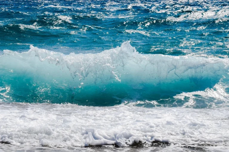 Strategi Blue Ocean vs Red Ocean: Kunci UMKM Unggul 2 Blue Ocean Strategy Vs Red Ocean
