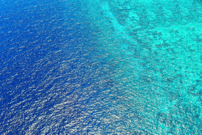 Strategi Blue Ocean vs Red Ocean: Kunci UMKM Unggul 3 Blue Ocean Strategy Vs Red Ocean