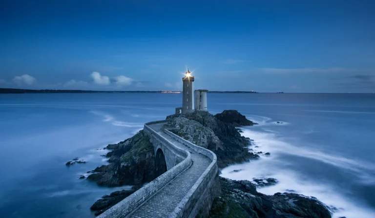 Blue Ocean Strategy, W. Chan Kim & Renée Mauborgne