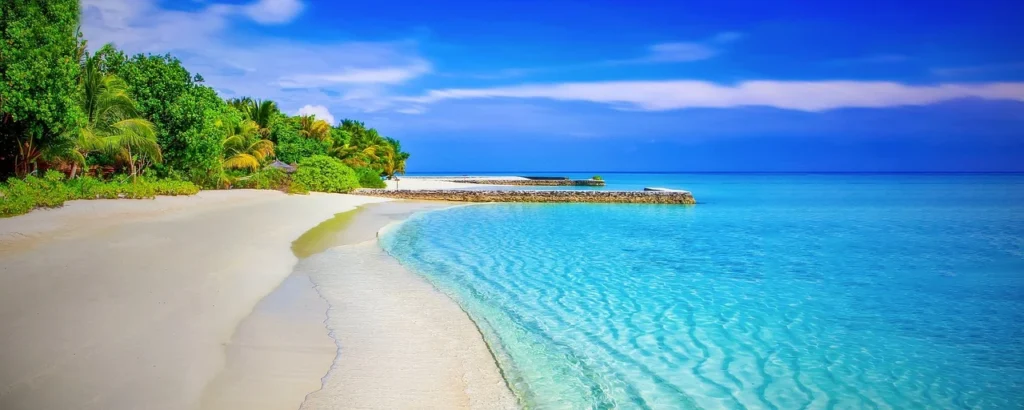 Blue Ocean Strategy, W. Chan Kim & Renée Mauborgne