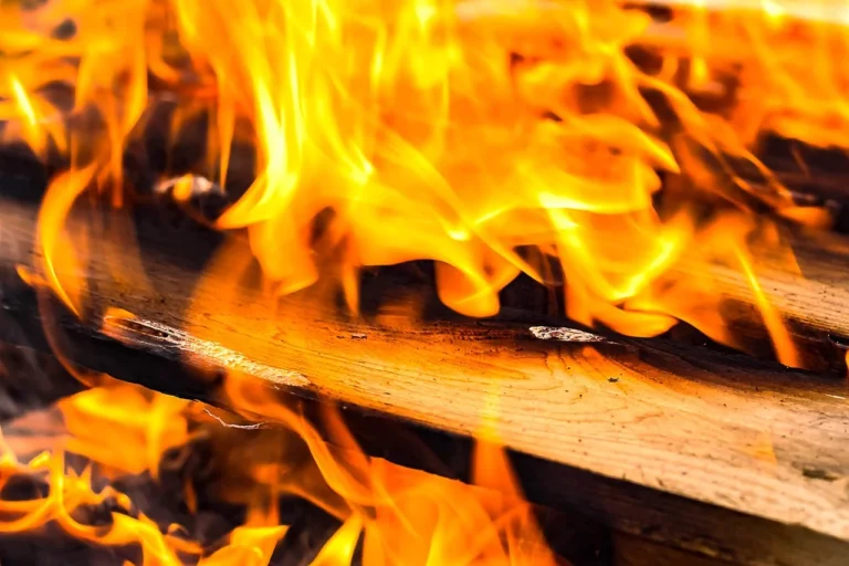 Burn Rate Business Meaning