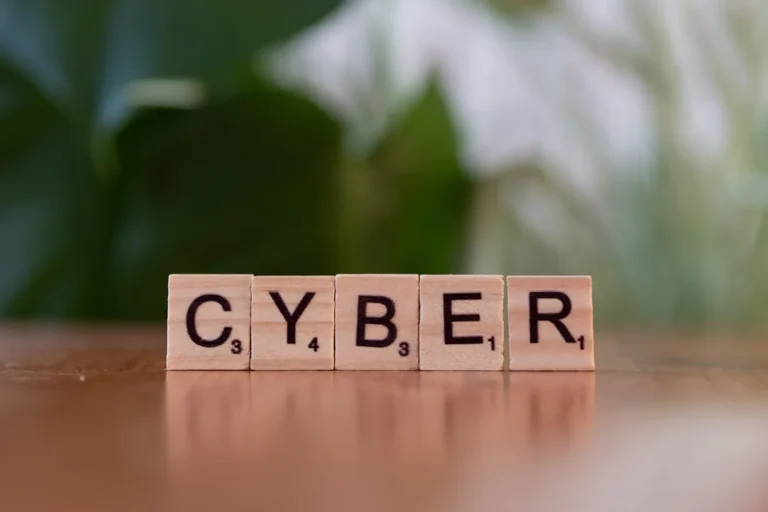 Cybersecurity Framework For Smes