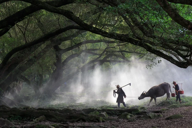 Framework Bisnis Laundry Kiloan Yang Menguntungkan