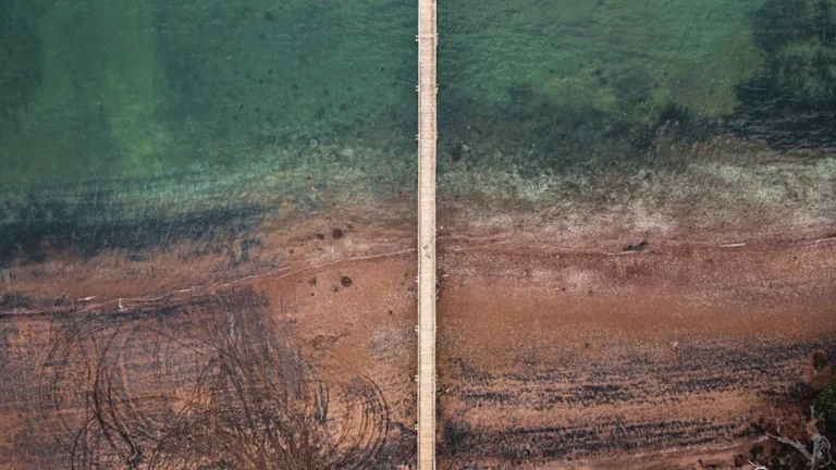 Growth Pole Theory, François Perroux