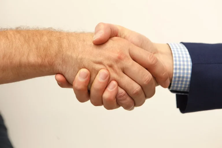 Jasa SEO Asuransi Jiwa dan Kesehatan: Raih Nasabah Tertarget 1 Insurance Agent Handshake