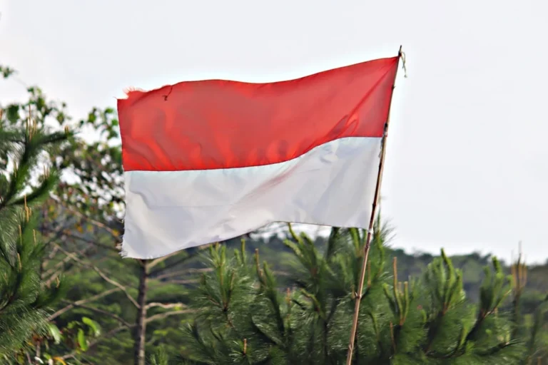 Kaizen Framework Indonesia