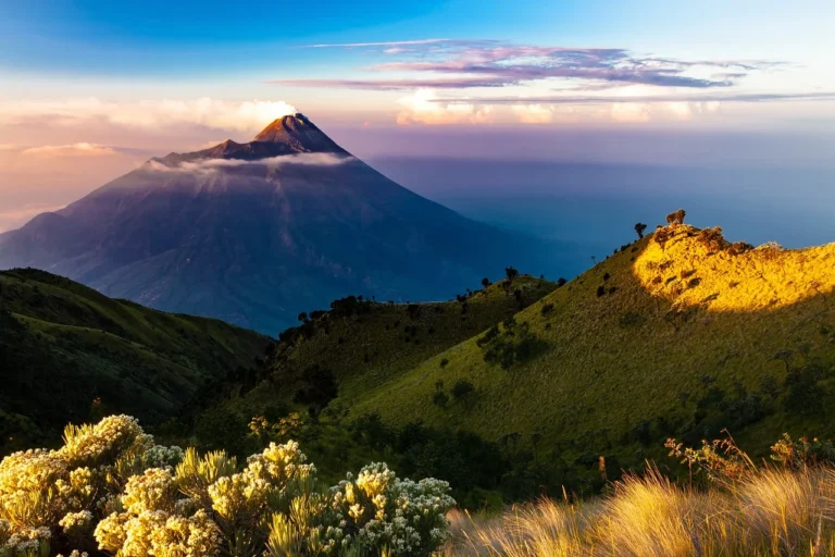 Komunitas Umkm Digital Indonesia Paling Aktif