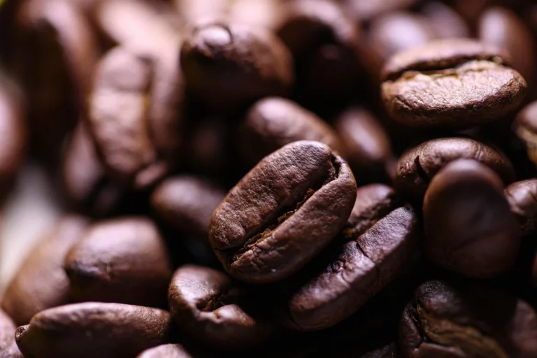 Panduan Strategi Konsep Bisnis Kafe Modern dan Menguntungkan 3 Konsep Bisnis Kafe