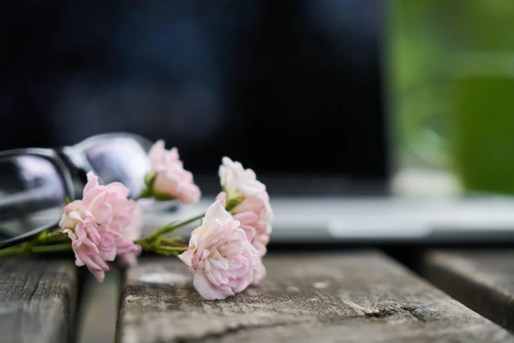 Laptop Blogger