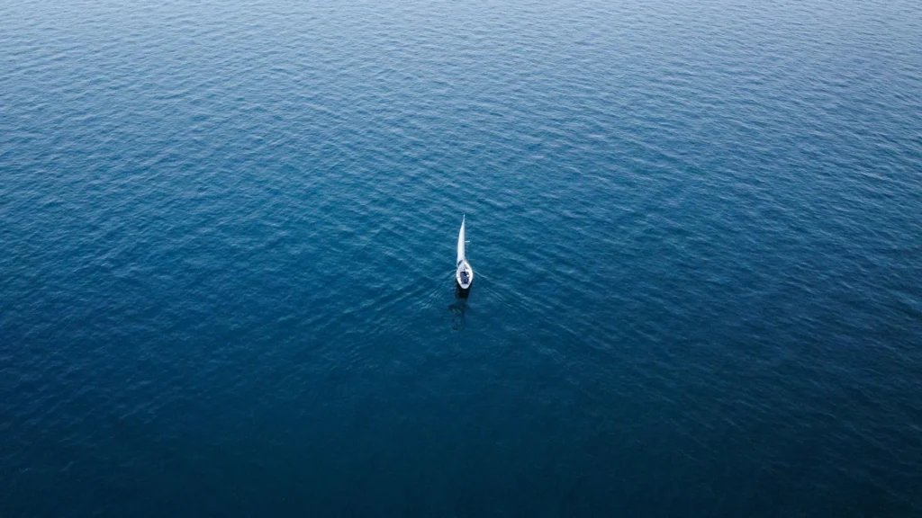 Panduan Blue Ocean Strategy Untuk Bisnis Baru