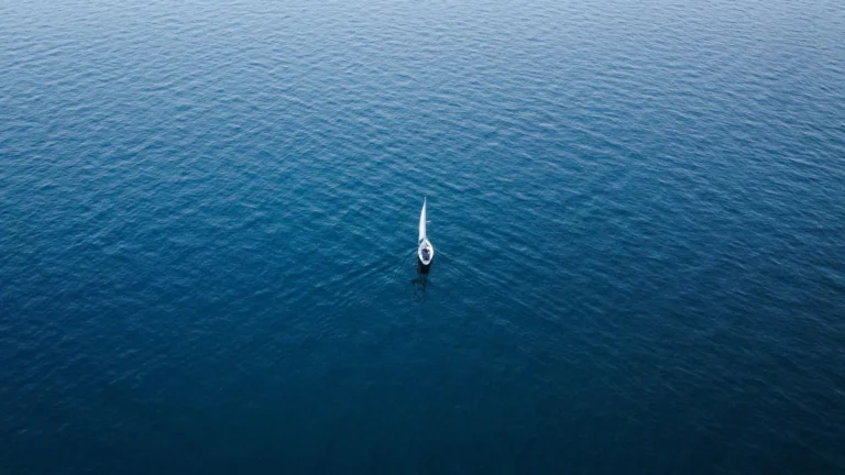 Panduan Blue Ocean Strategy untuk Bisnis Baru 2 Panduan Blue Ocean Strategy Untuk Bisnis Baru