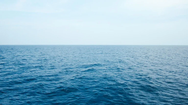 Panduan Blue Ocean Strategy untuk Bisnis Baru 1 Panduan Blue Ocean Strategy Untuk Bisnis Baru