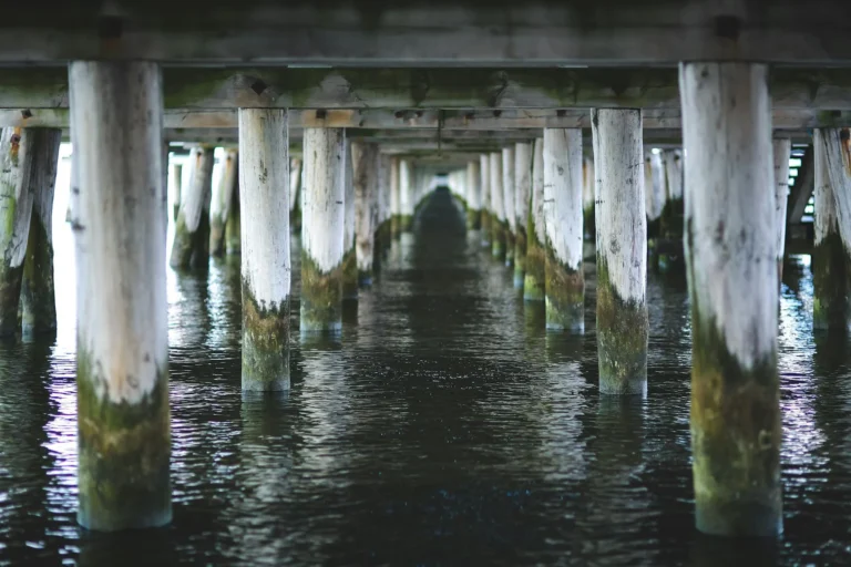 Paradox Of Choice, Barry Schwartz