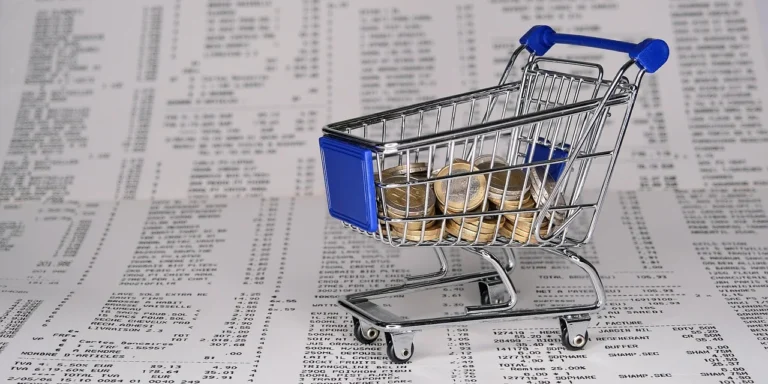 Shopping Cart Online Payment