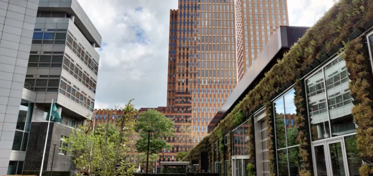 Skyscraper Office Digital Business