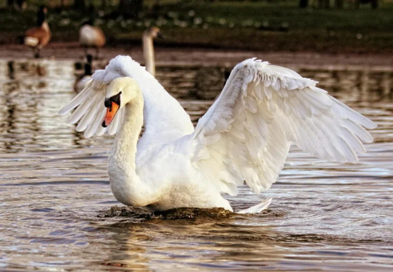 Memahami Solow-Swan Growth Model: Robert Solow & Trevor Swan 2 Solow-Swan Growth Model, Robert Solow & Trevor Swan