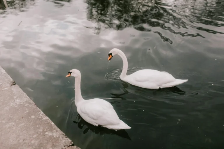 Memahami Solow-Swan Growth Model: Robert Solow & Trevor Swan 1 Solow-Swan Growth Model, Robert Solow & Trevor Swan