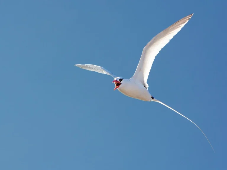 Memahami Strategi The Long Tail dari Chris Anderson 1 The Long Tail, Chris Anderson