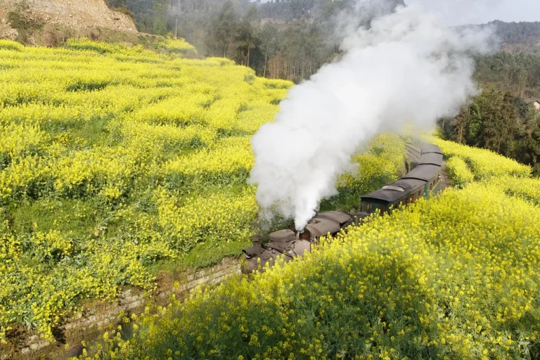 Tren Bisnis Digital Yang Cocok Untuk Umkm 2025